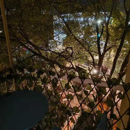 Apartment Square Nine